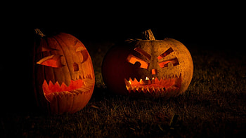 Trick or Treat, other, people, fantasy, entertainment HD wallpaper
