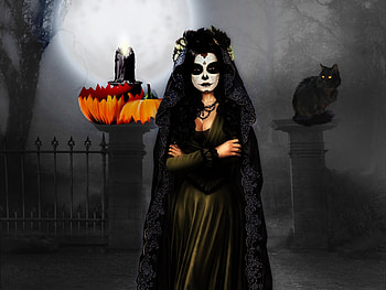 Halloween Moon, Halloween, Cat, Night, Moon HD wallpaper