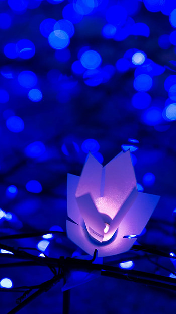 Golden Christmas garland, Luxurious beauty, Festive dcor, Elegant design HD phone wallpaper