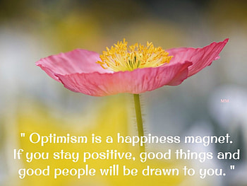 Optimism, Flowers, Nature, Quotes, Thoughts, Words HD wallpaper
