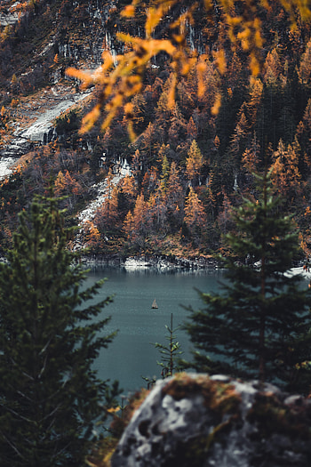 Nature, Rivers, Trees, Forest, Branches, Sailboat, Sailfish HD phone wallpaper
