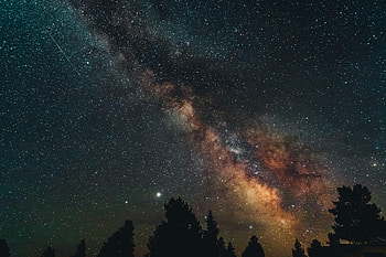 Nature, Trees, Stars, Night, Starry Sky, Nebula HD wallpaper