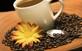 Morning coffee, coffee, abstract, graphy, art HD wallpaper