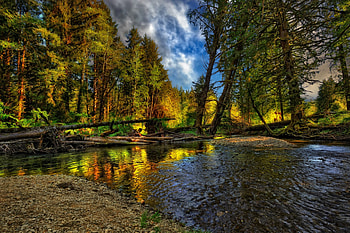 Lake, other, trees, nture HD wallpaper