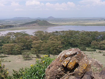 Naivasha lake, landscape, kenya, Naivasha, nature reserve HD wallpaper