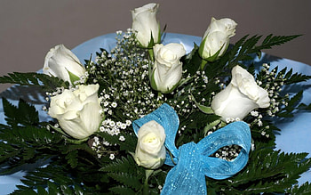Lovely White Bouquet, white, bouquet, roses, packaging, ribbon, green, nature, flowers HD wallpaper