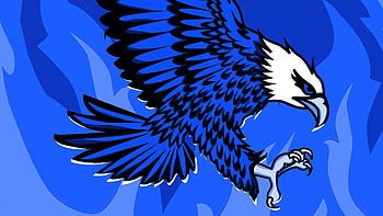Eagle Of Flames , eagle, artist, artwork, digital-art HD wallpaper