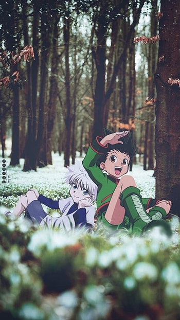 Gon and Killua, Anume, HXH, Hunter x Hunter HD phone wallpaper