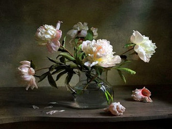 Falling petals, shell, peonies, petals, vase, flowers HD wallpaper