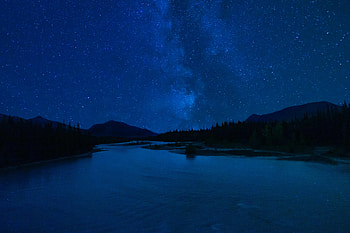 Nature, Stars, Night, Lake, Forest, Starry Sky HD wallpaper