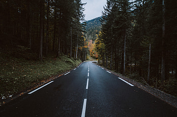 Nature, Mountain, Road, Turn, Forest HD wallpaper