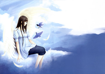 Somewhere In Heaven, birds, light, heaven, clouds, sky HD wallpaper