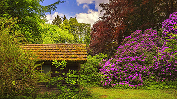 Park in Germany, house, trees, greenery, bush, beautiful, spring, park, rhododendron, flowering, summer HD wallpaper