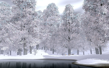 Wolfram I, jungle, wolf HD wallpaper