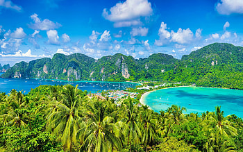 Phi Phi Islands, Palm trees, Summer travel HD wallpaper