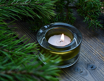 A candle for our friend Roger, Candle, Green, Light, Fir branch HD wallpaper