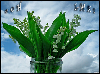 may bouquet, bouquet, lilly of the valley, 1st may, labour day HD wallpaper