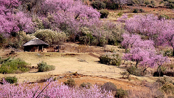 Lesotho travels, A 2022 travel guide, Adeafrica HD wallpaper