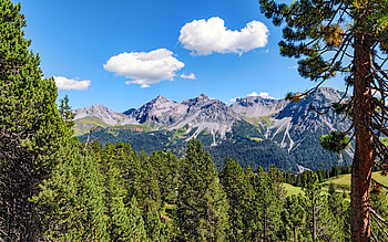 Nature, Trees, Sky, Mountains, Clouds, Rocks, Branches HD wallpaper