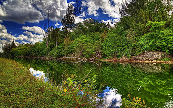 Nature, Rivers, Trees, Grass, Sun, Summer HD wallpaper