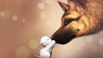 Animals, Cats, Dogs HD wallpaper