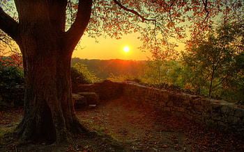Landscape, Trees, Sunset, Sun HD wallpaper