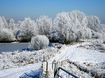 ***** Winter *****, blue, winter, frost, white, snowy, cold, tree, snow, trees, nature, sky, water, ze, pond HD wallpaper