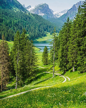 Amazing Switzerland, sky, mountain HD phone wallpaper