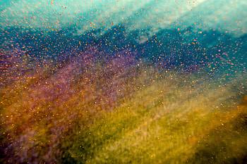Abstract, Reflection, Multicolored, Motley, Surface, Stains, Spots HD wallpaper