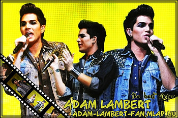 yellow lambert, ol, lololol, lol HD wallpaper