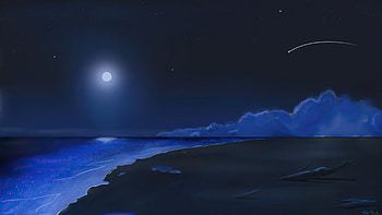 Beach moonlight, Serene shoreline, Nighttime bliss, Peaceful tranquility HD wallpaper