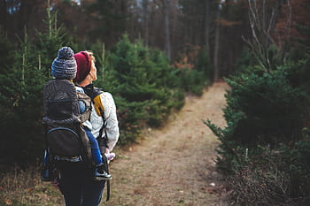 A mother with her child in a carrier backpack hiking through a forest trail on a crisp autumn day. HD wallpaper