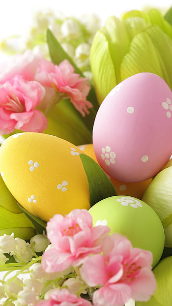 Easter, Pink HD phone wallpaper