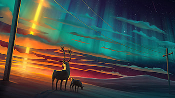 Reindeer northern lights , for tech HD wallpaper