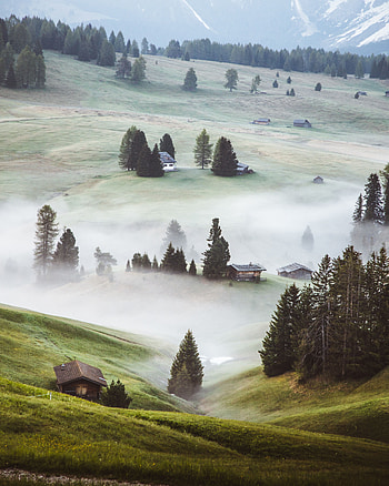 Nature, Trees, Building, Fog, Hills, Slope HD phone wallpaper