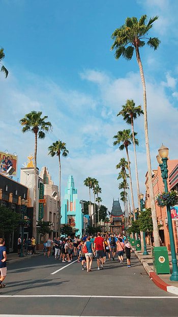 Orlando travels, Disney Orlando graphy, Disney Orlando, Fundos HD phone wallpaper