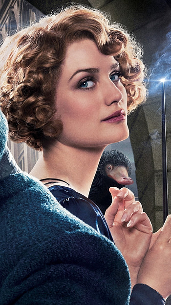 Movie, Fantastic Beasts, Where to Find Them, Alison Sudol HD phone wallpaper