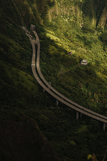 Nature, Trees, Rocks, Road, Forest HD phone wallpaper