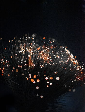 An artistic shot of fiber optic lights on a dark background creating a bokeh effect with vivid colors. HD phone wallpaper