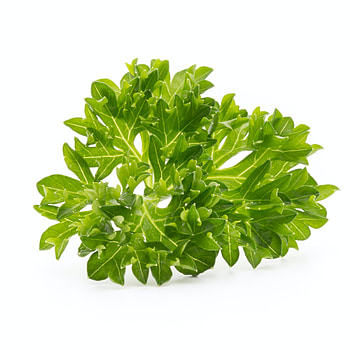 Flavorful menu, Kailani Poke inspiration, Exciting twists, Fresh ingredients HD phone wallpaper
