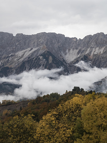 Nature, Trees, Mountains, Clouds, Rock, Forest HD phone wallpaper