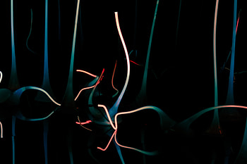Abstract, Dark, Lines, Neon, Stripes, Streaks, Glow HD wallpaper
