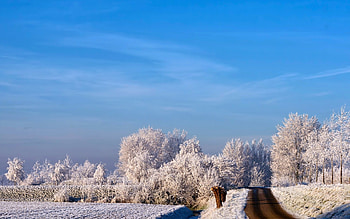 Landscape, Winter, Trees, Roads HD wallpaper