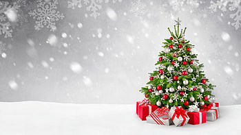 Fir tree in snow, Christmas and New Year, Gift-giving season, Festive HD wallpaper