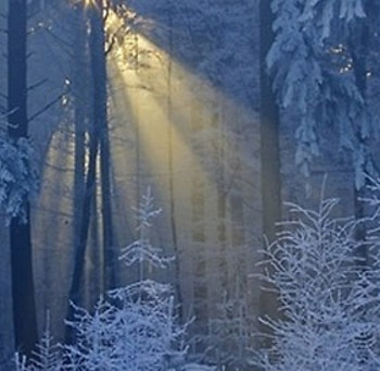 Winter Sun, winter, blue, snow, cool, forests, nature, beauty HD wallpaper
