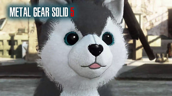 Metal Gear Solid 5 Phantom Pain, DD Diamond Dog Location How To Find, The Cute Puppy Dog - YouTube HD wallpaper