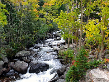 Alberta Falls in Rocky Mountain National Park, falls, trees, rock, park HD wallpaper