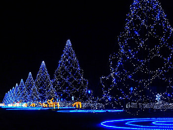 Trees, decorations, blue, lights HD wallpaper