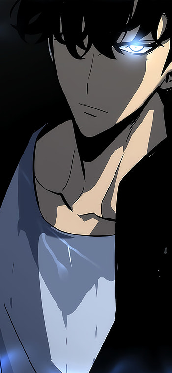 Sung Jin-Woo, Anime, Solo Leveling HD phone wallpaper