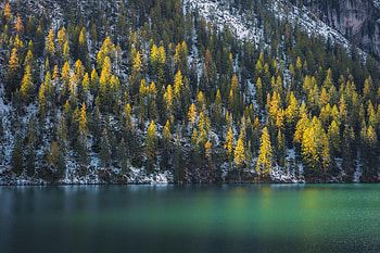 Nature, Water, Trees, Lake, Fir, Spruce, Snow Covered, Snowbound HD wallpaper